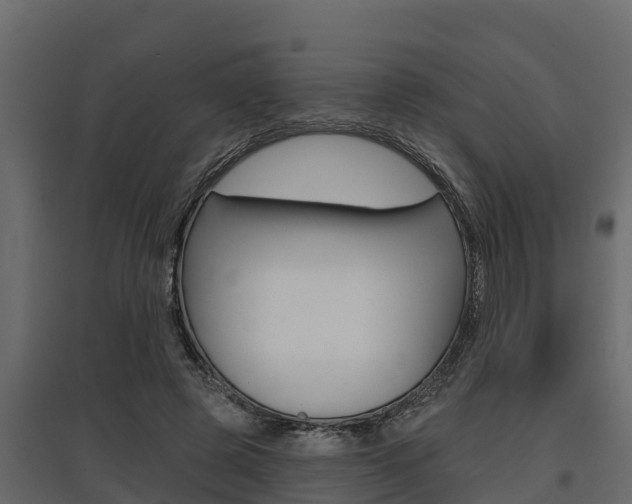 X0000097770545200803070903