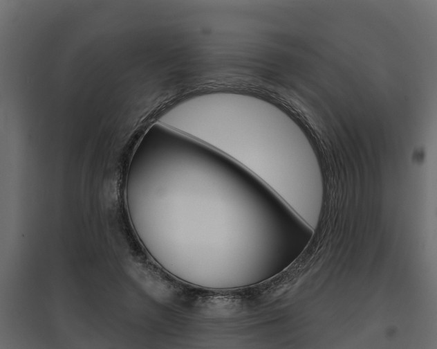 X0000097770546200803070903