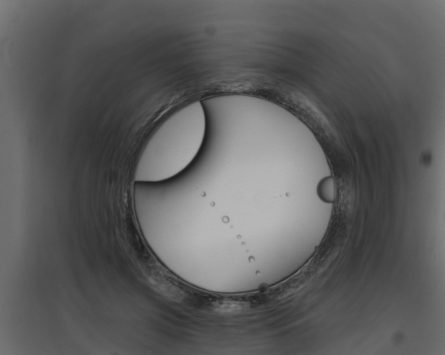 X0000097770549200803070903