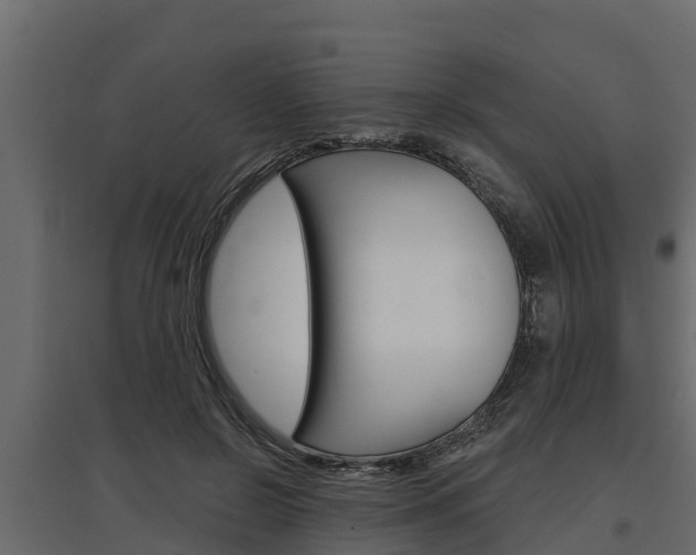 X0000097770550200803070903