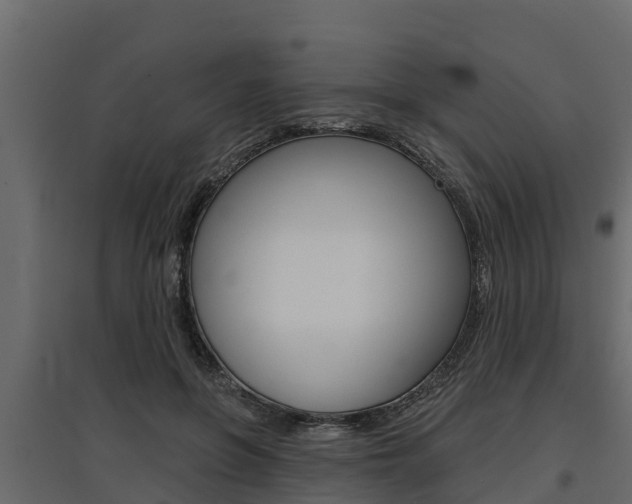 X0000097770551200803070903