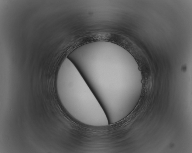 X0000097770553200803070903
