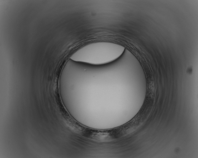 X0000097770554200803070903