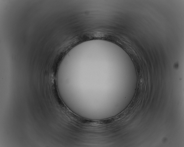 X0000097770555200803070903