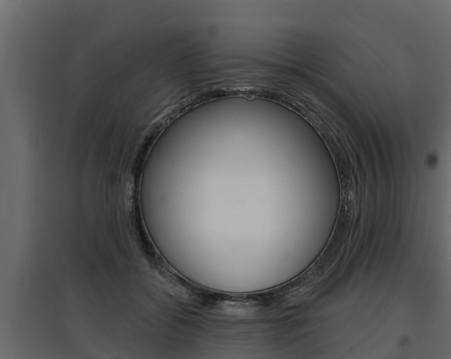 X0000097770556200803070903
