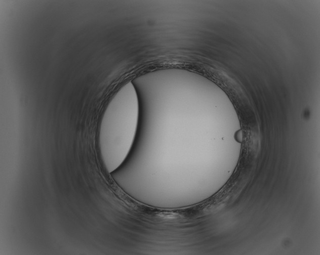 X0000097770557200803070903