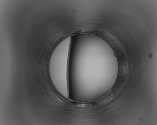 X0000097770558200803070903