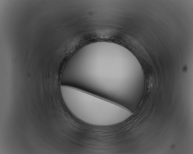X0000097770559200803070903