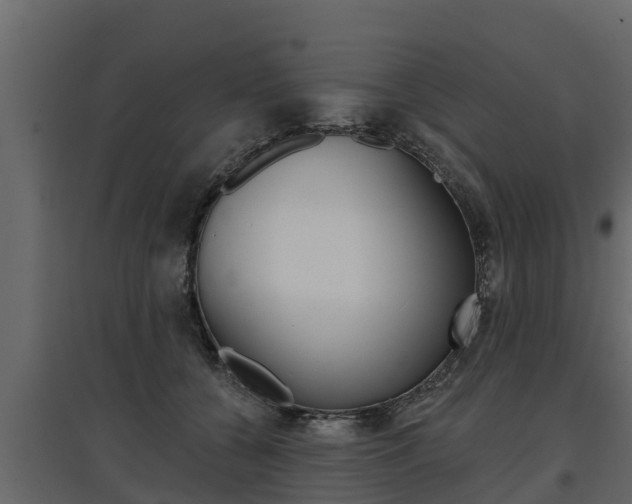 X0000097770560200803070903