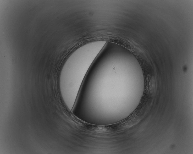 X0000097770562200803070903