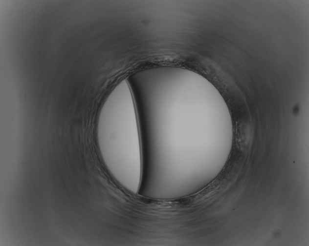 X0000097770563200803070903