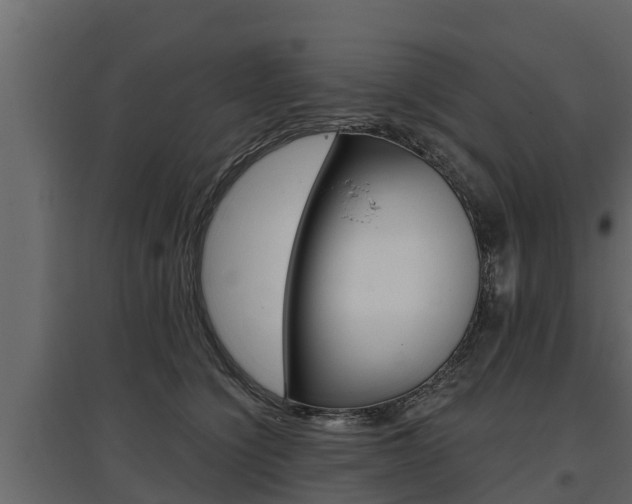 X0000097770564200803070903