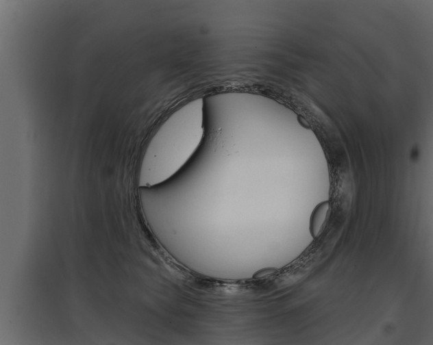 X0000097770565200803070903