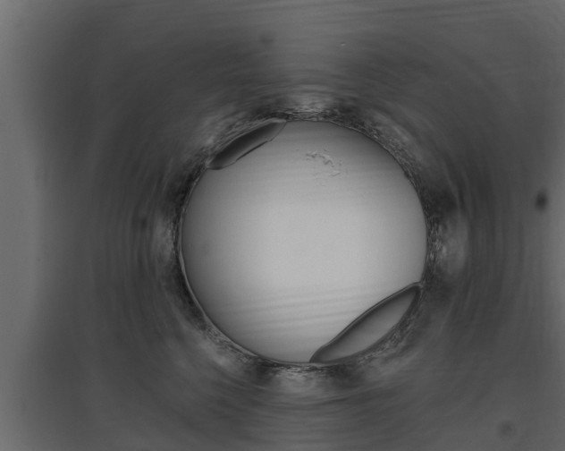 X0000097770568200803070903