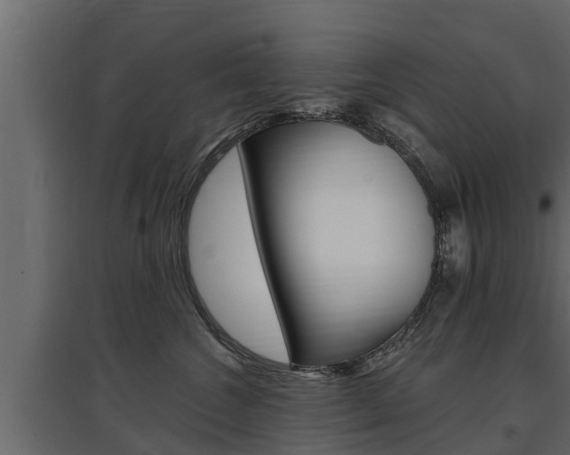X0000097770572200803070903