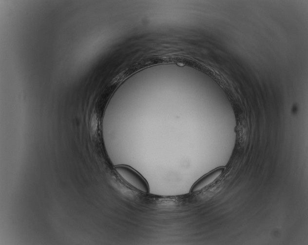 X0000097770574200803070903
