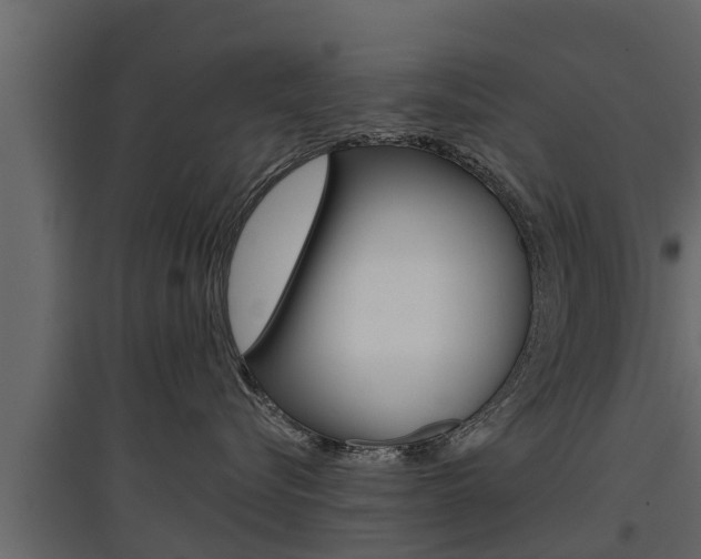 X0000097770576200803070903