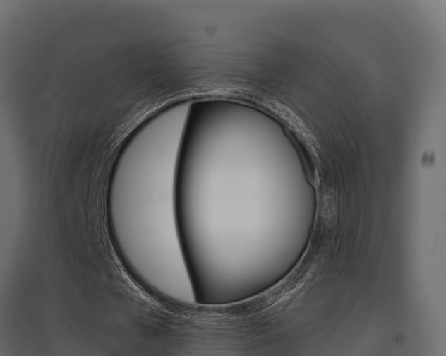 X0000097770577200803070903