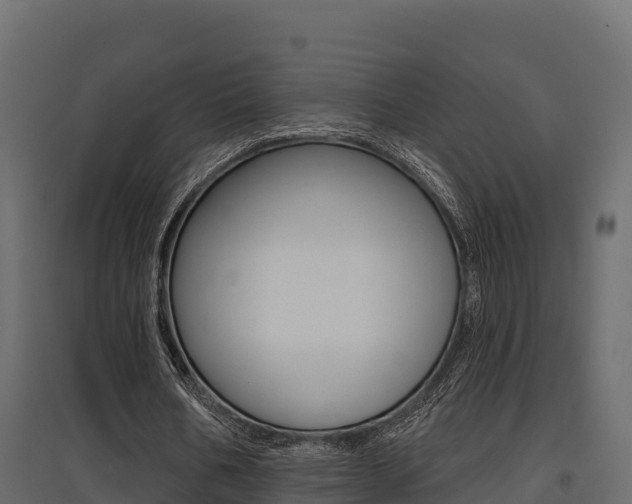 X0000097770578200803070903