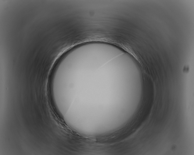 X0000097770579200803070903