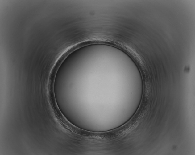 X0000097770580200803070903
