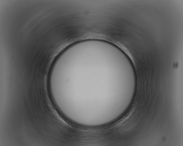 X0000097770581200803070903