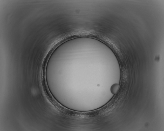 X0000097770582200803070903