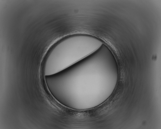 X0000097770584200803070903