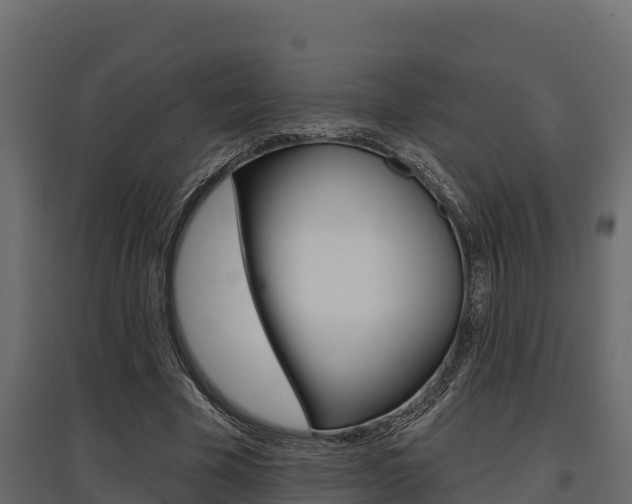 X0000097770585200803070903