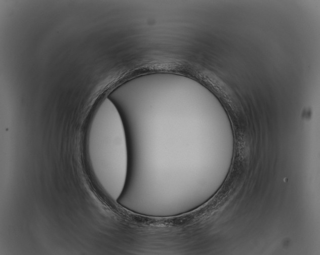 X0000097770586200803070903
