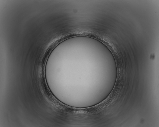 X0000097770587200803070903