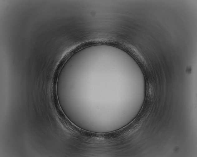 X0000097770588200803070903