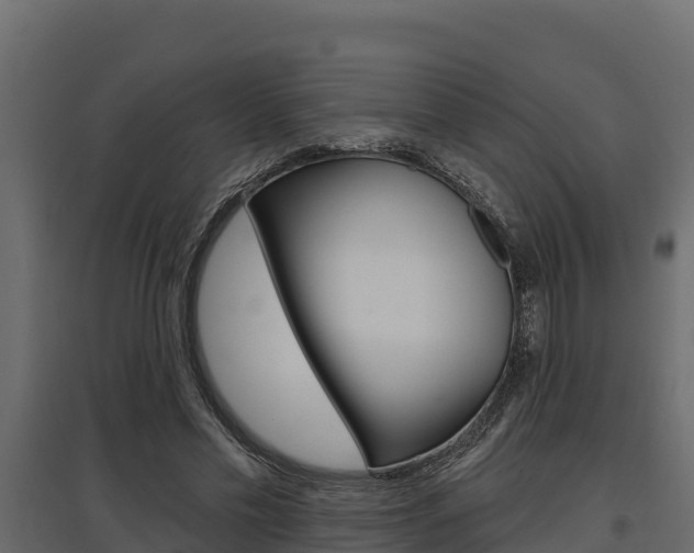 X0000097770589200803070903