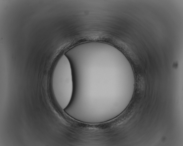 X0000097770590200803070903