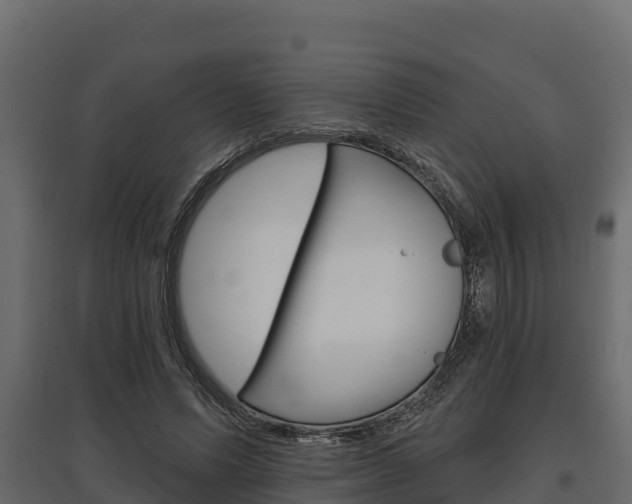 X0000097770591200803070903