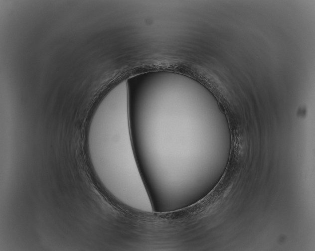 X0000097770593200803070903