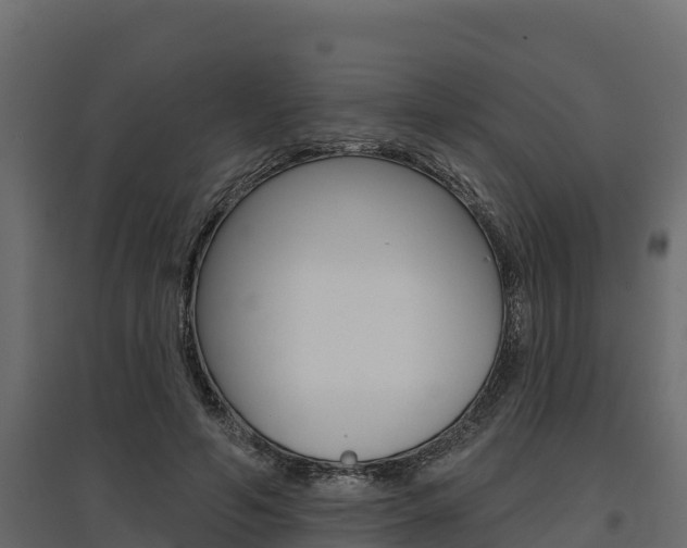 X0000097770594200803070903