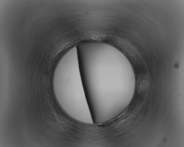 X0000097770595200803070903