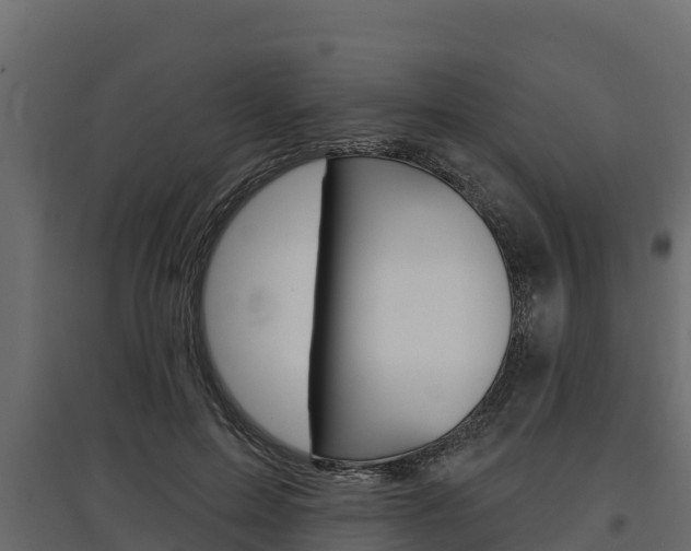 X0000097770599200803070902