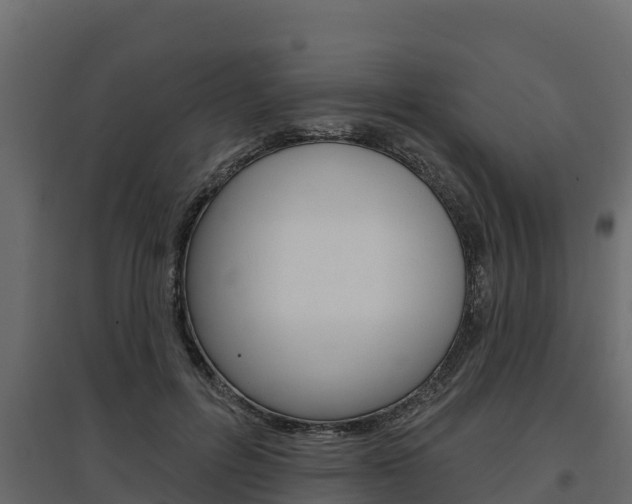 X0000097770600200803070902