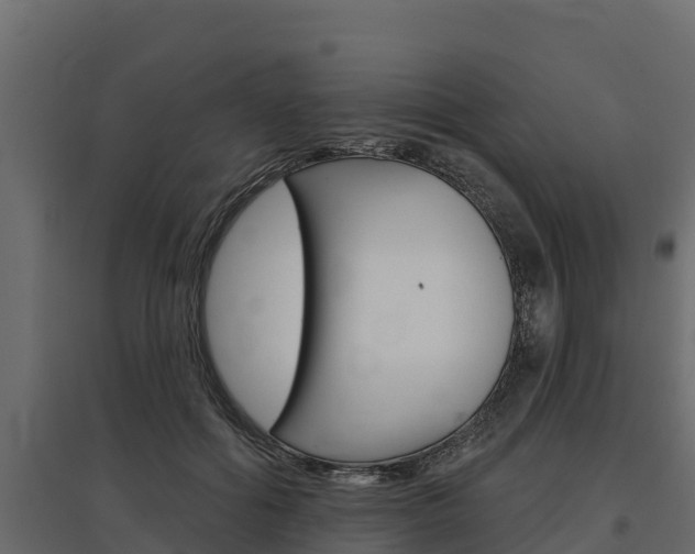 X0000097770602200803070902