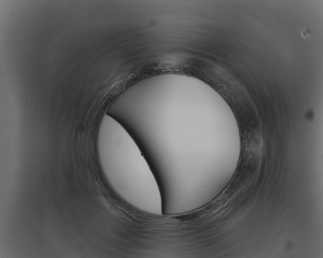 X0000097770603200803070902
