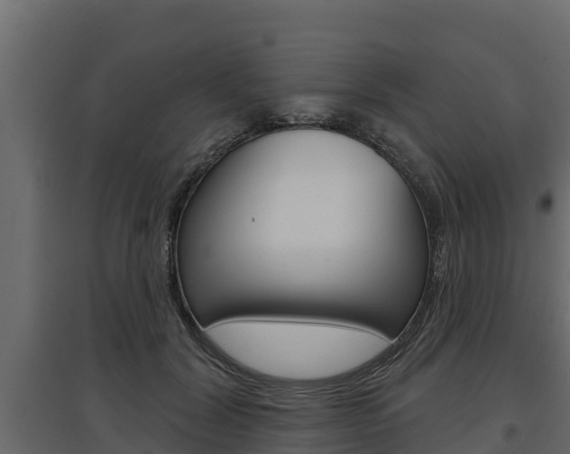 X0000097770604200803070902