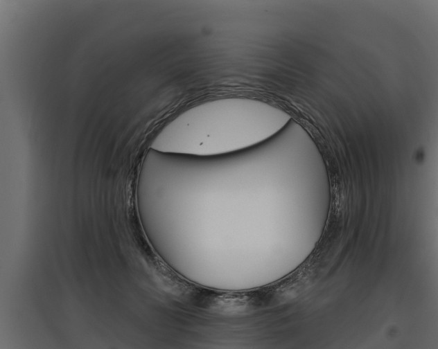X0000097770606200803070902