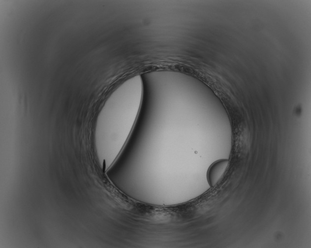 X0000097770608200803070902