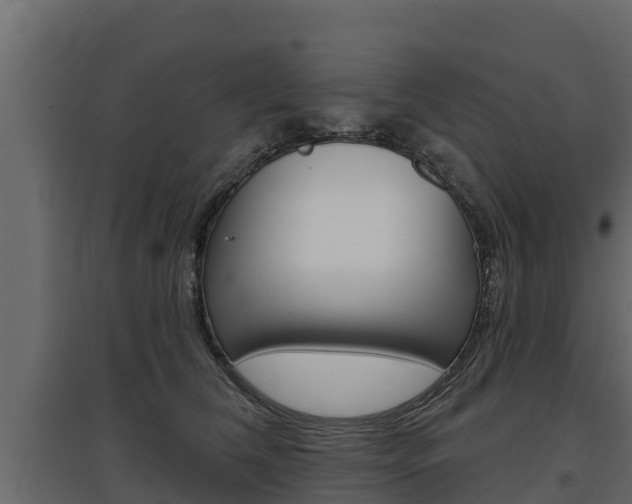 X0000097770612200803070902