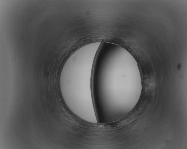 X0000097770613200803070902