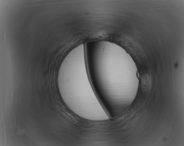 X0000097770617200803070902