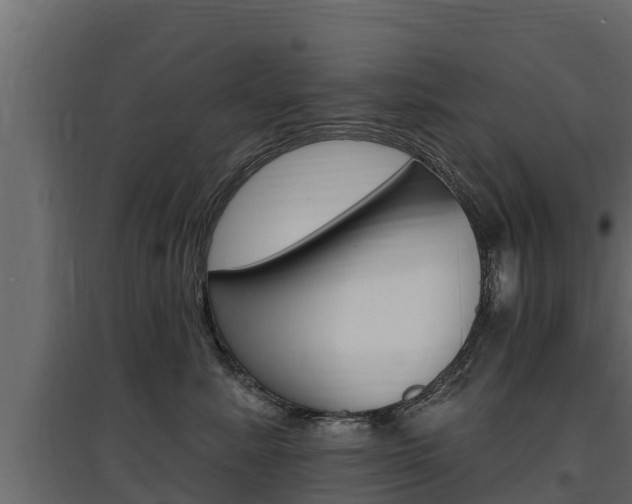 X0000097770619200803070902
