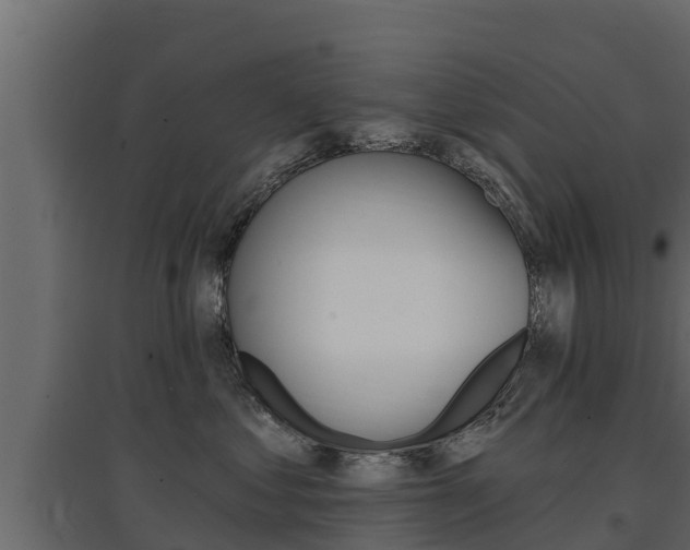 X0000097770621200803070902
